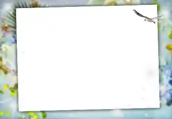 Foto-effetti della categoria Vari № 164634