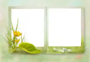 Foto-effetti della categoria Vari № 164751