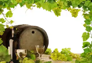 Foto-effetti della categoria Vari № 164780