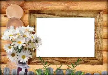 Foto-effetti della categoria Vari № 164792