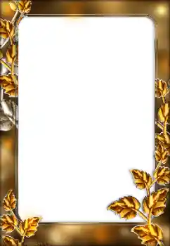 Foto-effetti della categoria Vari № 166029