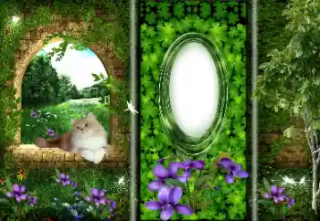 Foto-effetti della categoria Vari № 166033