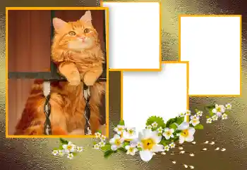 Foto-effetti della categoria Vari № 166093