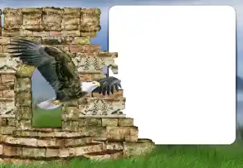 Foto-effetti della categoria Vari № 166357