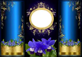 Foto-effetti della categoria Vari № 166447