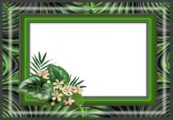 Foto-effetti della categoria Vari № 166640