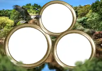 Foto-effetti della categoria Vari № 167860