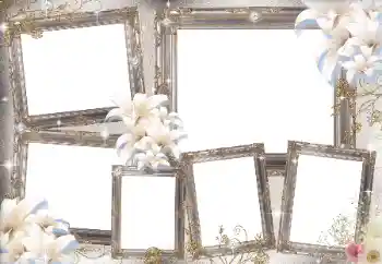 Foto-effetti della categoria Vari № 169031 Foto-effetti della categoria Vari № 169031