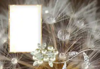 Foto-effetti della categoria Vari № 169101 Foto-effetti della categoria Vari № 169101