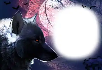 Foto-effetti della categoria Vari № 16918