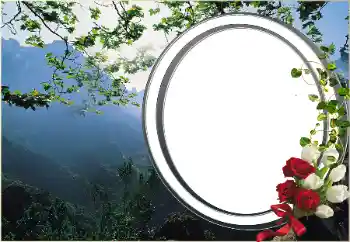 Foto-effetti della categoria Vari № 16920