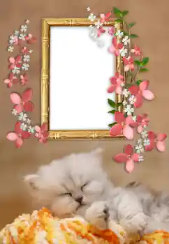 Foto-effetti della categoria Vari № 169232 Foto-effetti della categoria Vari № 169232