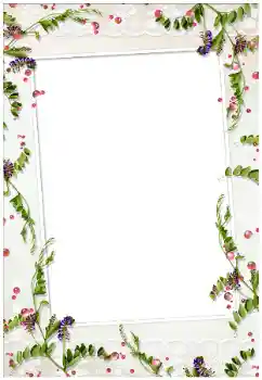 Foto-effetti della categoria Vari № 17020