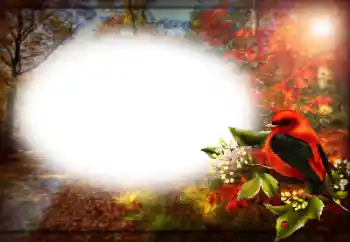 Foto-effetti della categoria Vari № 170400 Foto-effetti della categoria Vari № 170400