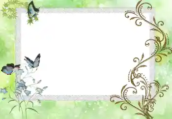 Foto-effetti della categoria Vari № 17086