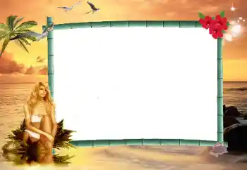 Foto-effetti della categoria Vari № 17101