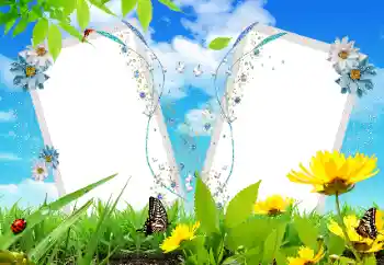 Foto-effetti della categoria Vari № 17121