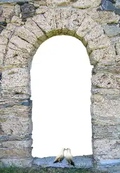 Foto-effetti della categoria Vari № 171681 Foto-effetti della categoria Vari № 171681