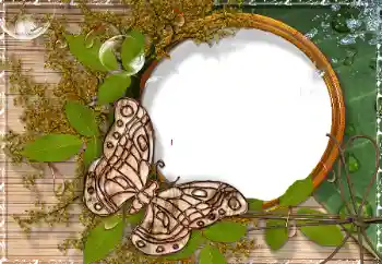 Foto-effetti della categoria Vari № 17189