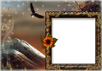 Foto-effetti della categoria Vari № 172844 Foto-effetti della categoria Vari № 172844