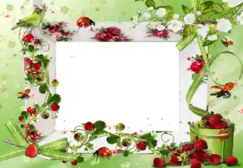 Foto-effetti della categoria Vari № 172917 Foto-effetti della categoria Vari № 172917