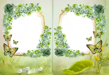 Foto-effetti della categoria Vari № 172968 Foto-effetti della categoria Vari № 172968