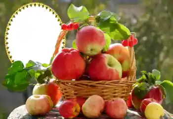 Foto-effetti della categoria Vari № 173030 Foto-effetti della categoria Vari № 173030