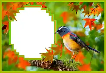 Foto-effetti della categoria Vari № 173036 Foto-effetti della categoria Vari № 173036