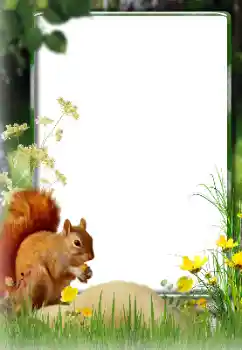 Foto-effetti della categoria Vari № 174270 Foto-effetti della categoria Vari № 174270