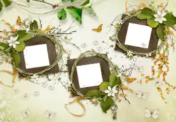 Foto-effetti della categoria Vari № 175577 Foto-effetti della categoria Vari № 175577