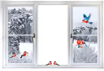 Foto-effetti della categoria Vari № 177876