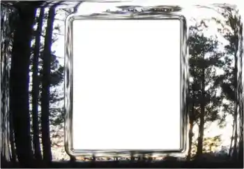 Foto-effetti della categoria Vari № 179611