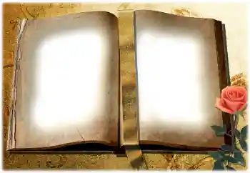 Foto-effetti della categoria Vari № 180729