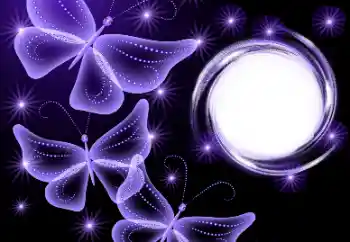 Foto-effetti della categoria Vari № 180771