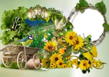 Foto-effetti della categoria Vari № 180773