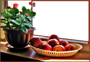 Foto-effetti della categoria Vari № 180838