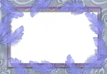 Foto-effetti della categoria Vari № 1809