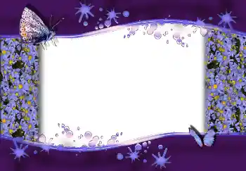 Foto-effetti della categoria Vari № 1813