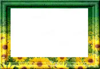 Foto-effetti della categoria Vari № 1816