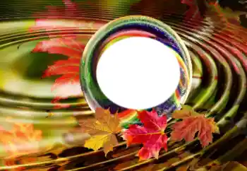 Foto-effetti della categoria Vari № 181963