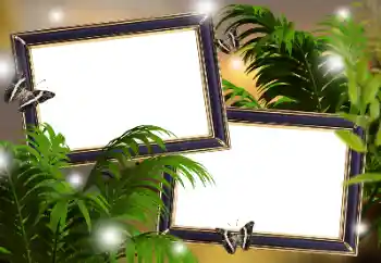 Foto-effetti della categoria Vari № 181982