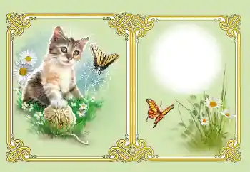 Foto-effetti della categoria Vari № 182126