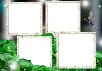 Foto-effetti della categoria Vari № 182236 Foto-effetti della categoria Vari № 182236