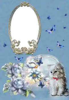 Foto-effetti della categoria Vari № 182256