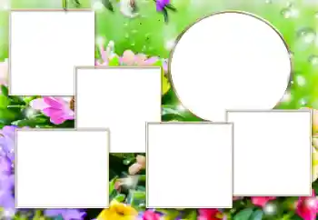 Foto-effetti della categoria Vari № 182304