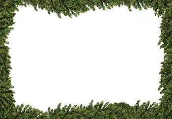 Foto-effetti della categoria Vari № 183301