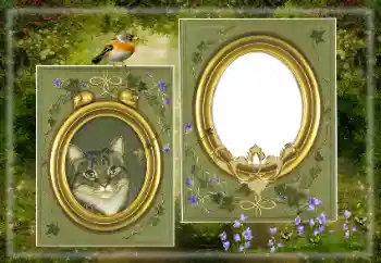 Foto-effetti della categoria Vari № 183530