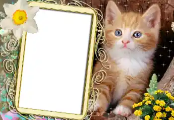 Foto-effetti della categoria Vari № 1842