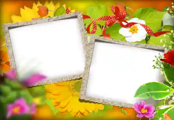 Foto-effetti della categoria Vari № 184580