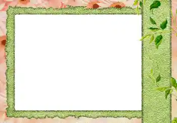 Foto-effetti della categoria Vari № 184589